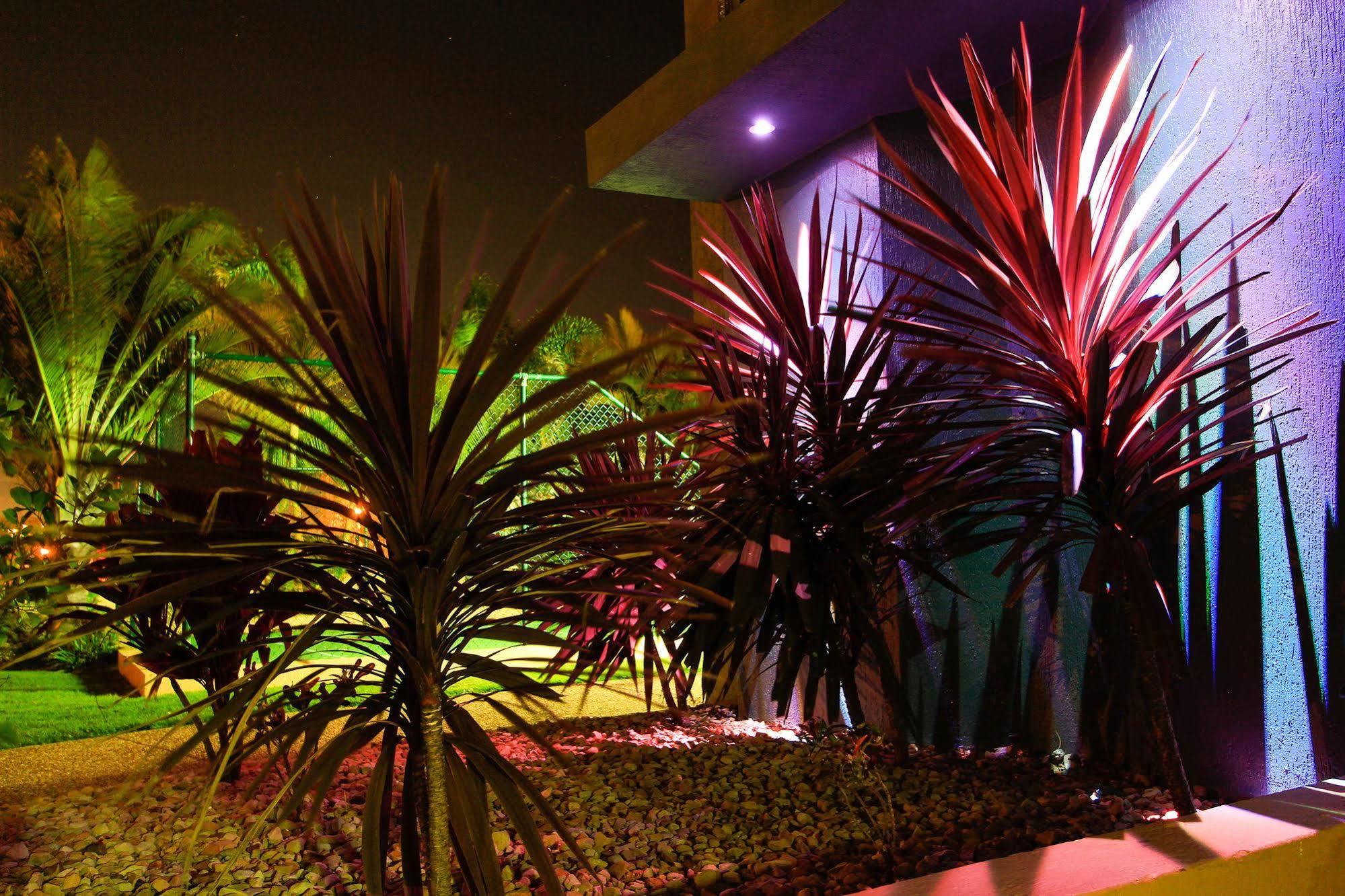 Capricorn One Beachside Holiday Apartments - Official Gold Coast Exteriér fotografie